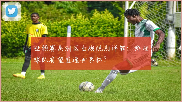 世预赛美洲区出线规则详解：哪些球队有望直通世界杯？